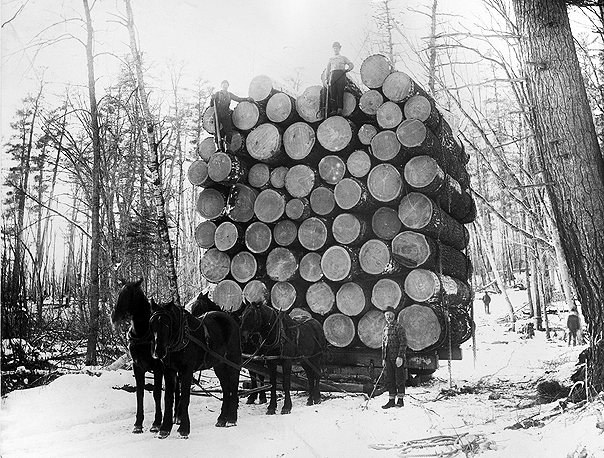 Load of logs hauled one mile by four horses. Thirty one thousand four hundred eighty foot load hauled by Anne River Logging Company, 1892.
